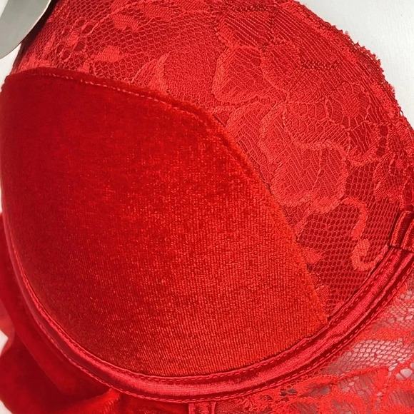 Daisy Fuentes Velvet Molded Cup Lace Push Up Teddy Bodysuit Snap Crotch NWT Sz L - Picture 7 of 16